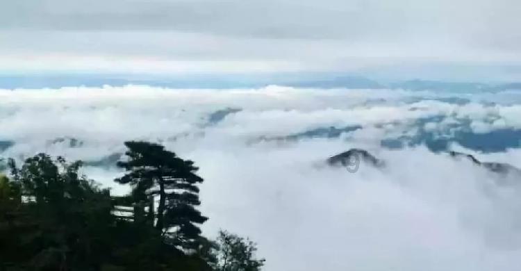 探探猫宝石岛