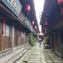 逗小猴开心系列194